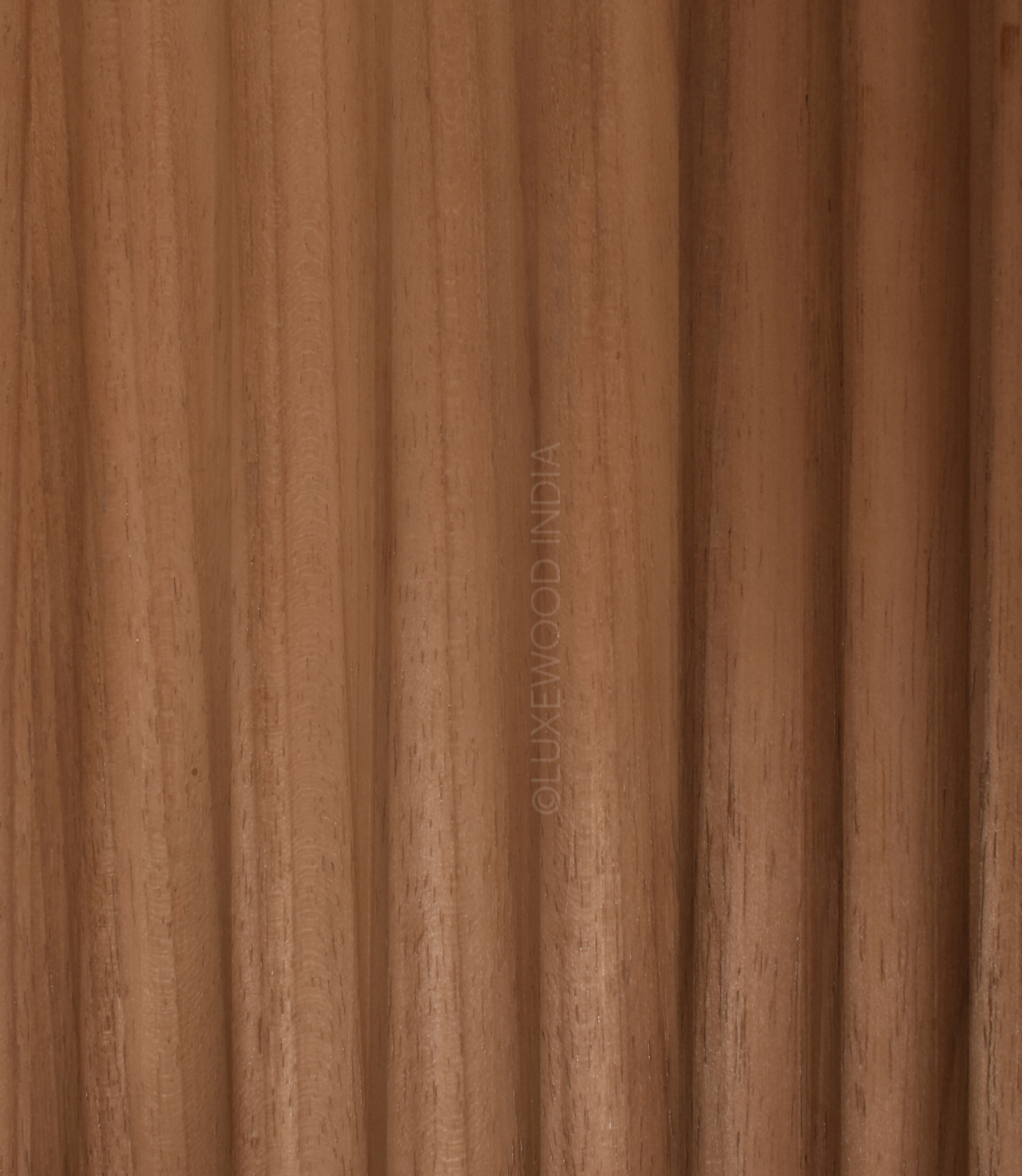 Close‑up of Venizio panel showing uniform thermo‑treated Ayous wood texture