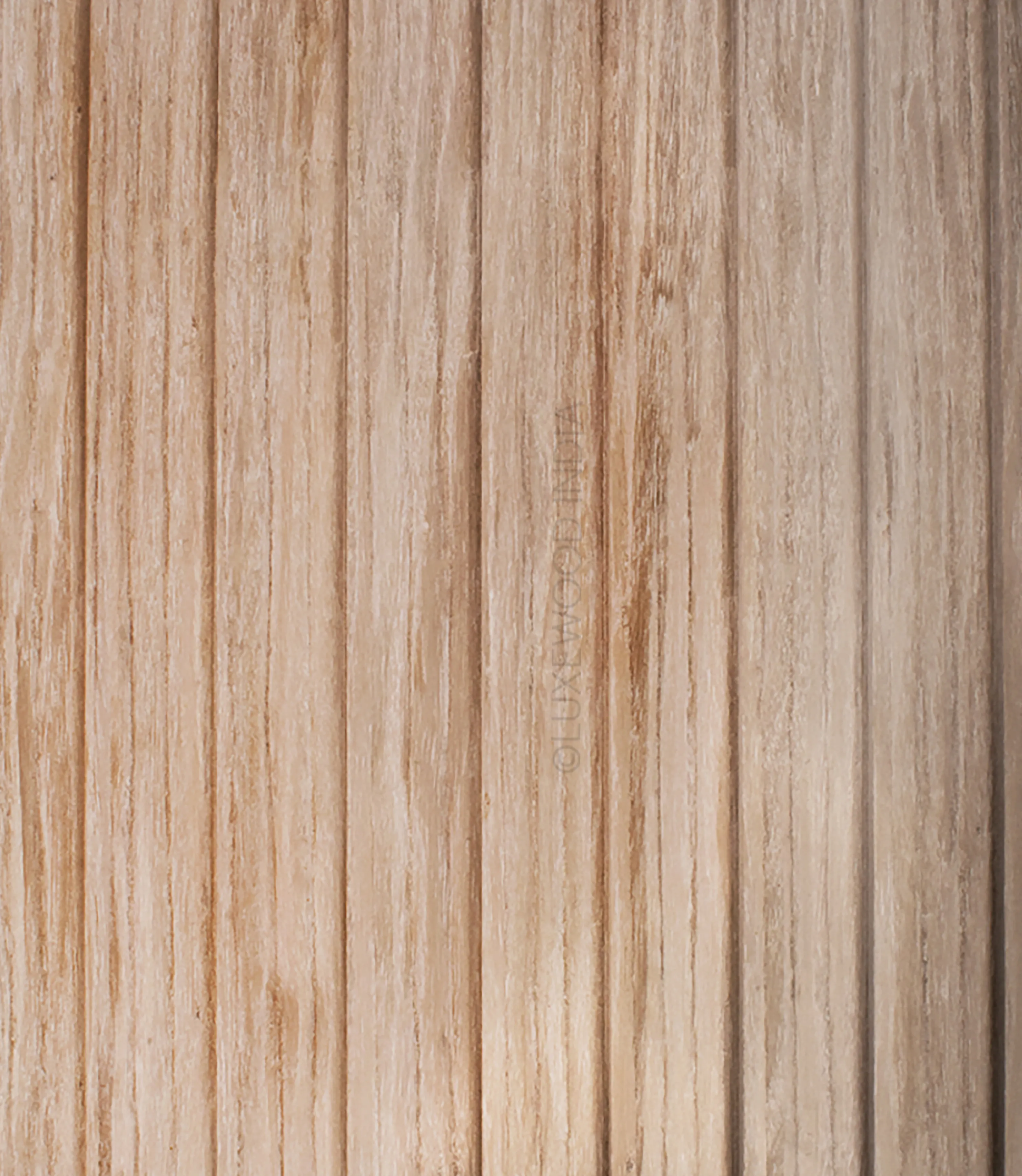 Beige Oak Firenze solid wood panel for walls, ceilings, and furniture