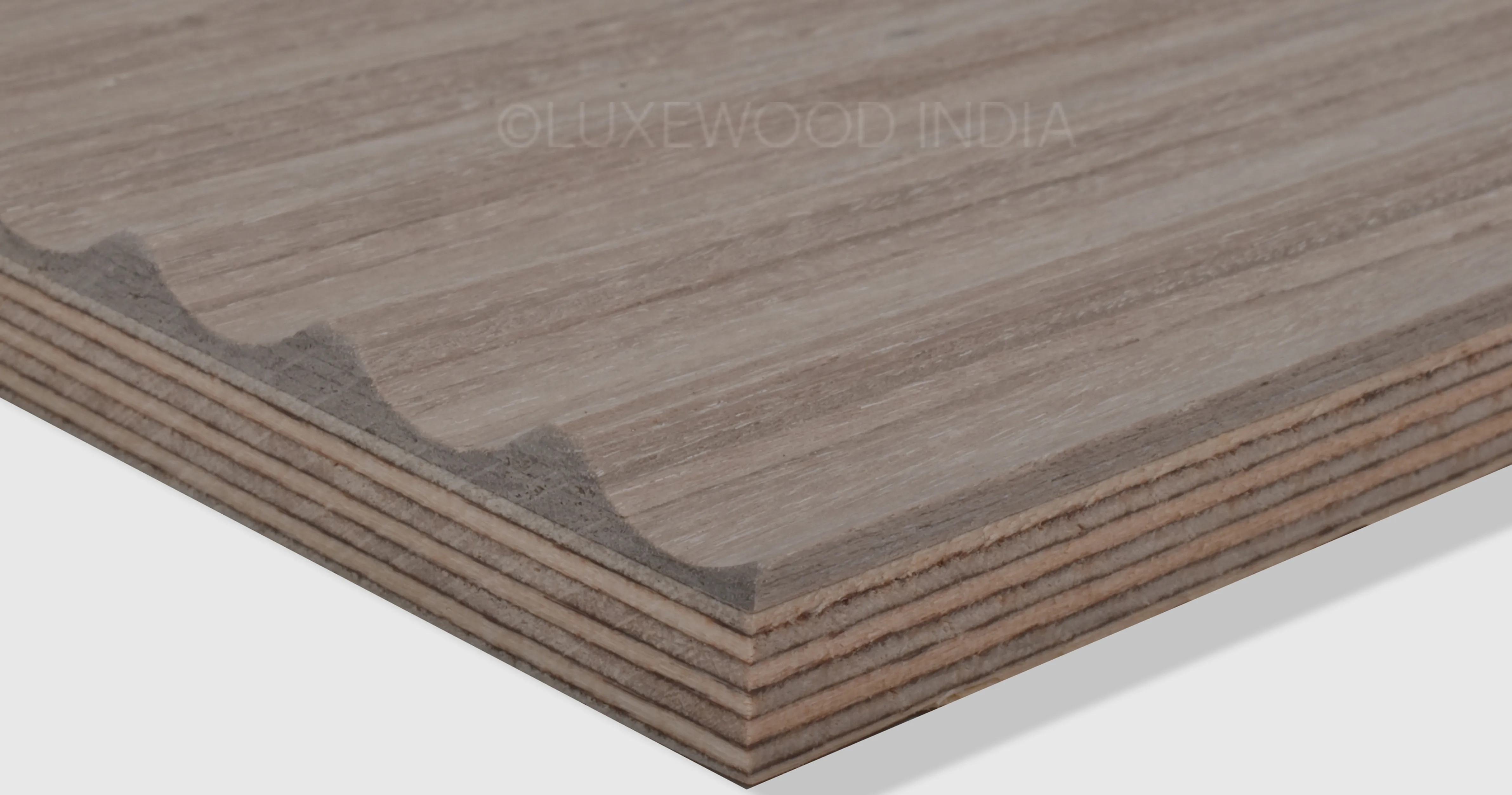 Beige Oak Milano solid panel showcasing subtle wood texture and durability