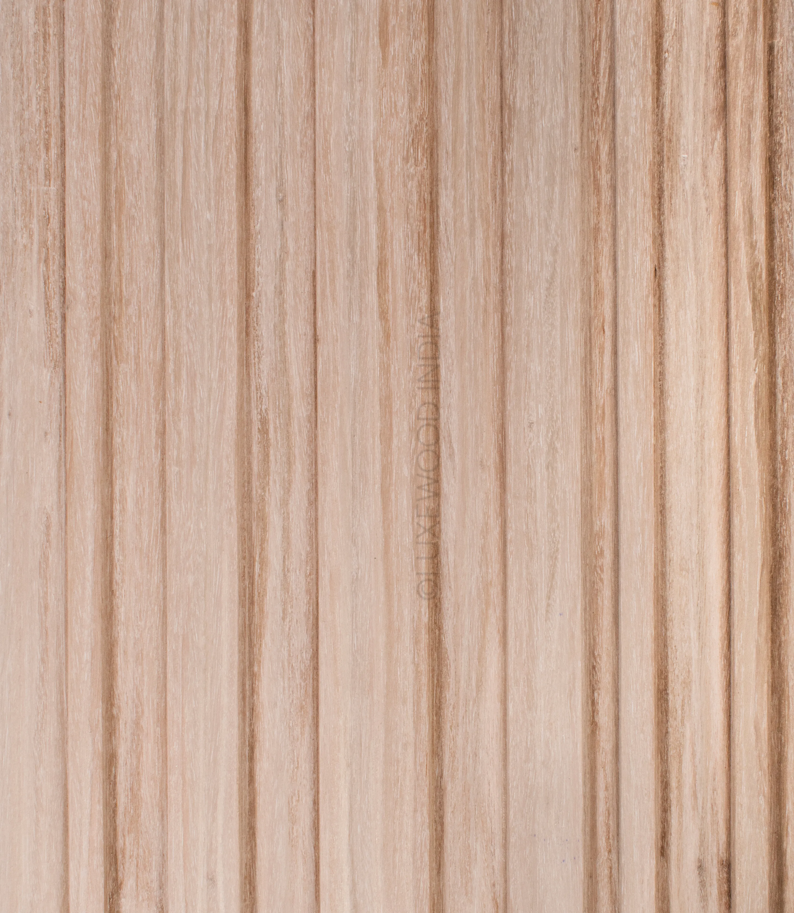 Close‑up of Beige Oak Asolo panel showing wood texture