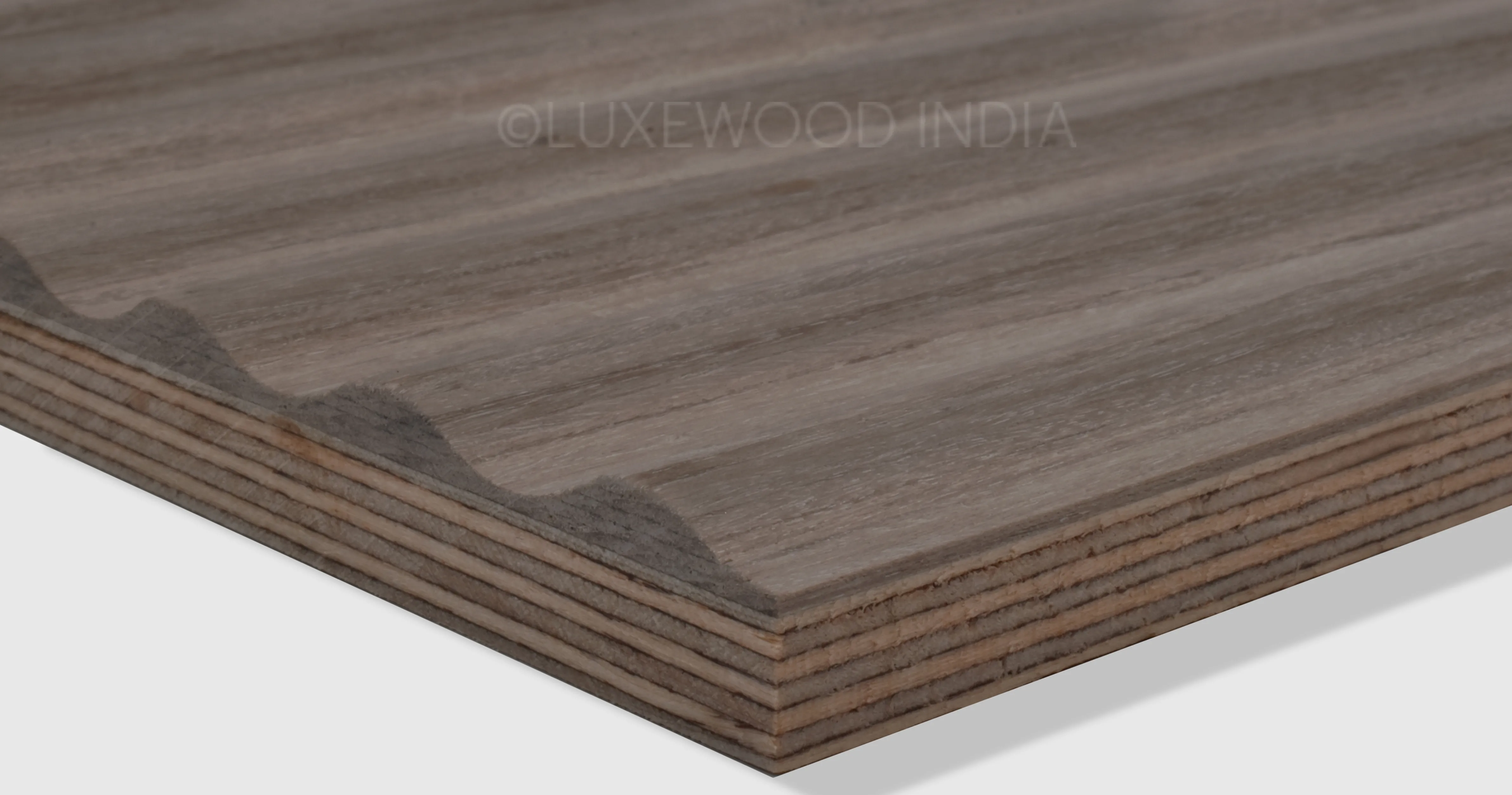 Beige Oak Venizio solid wood panel showcasing subtle grain and finish