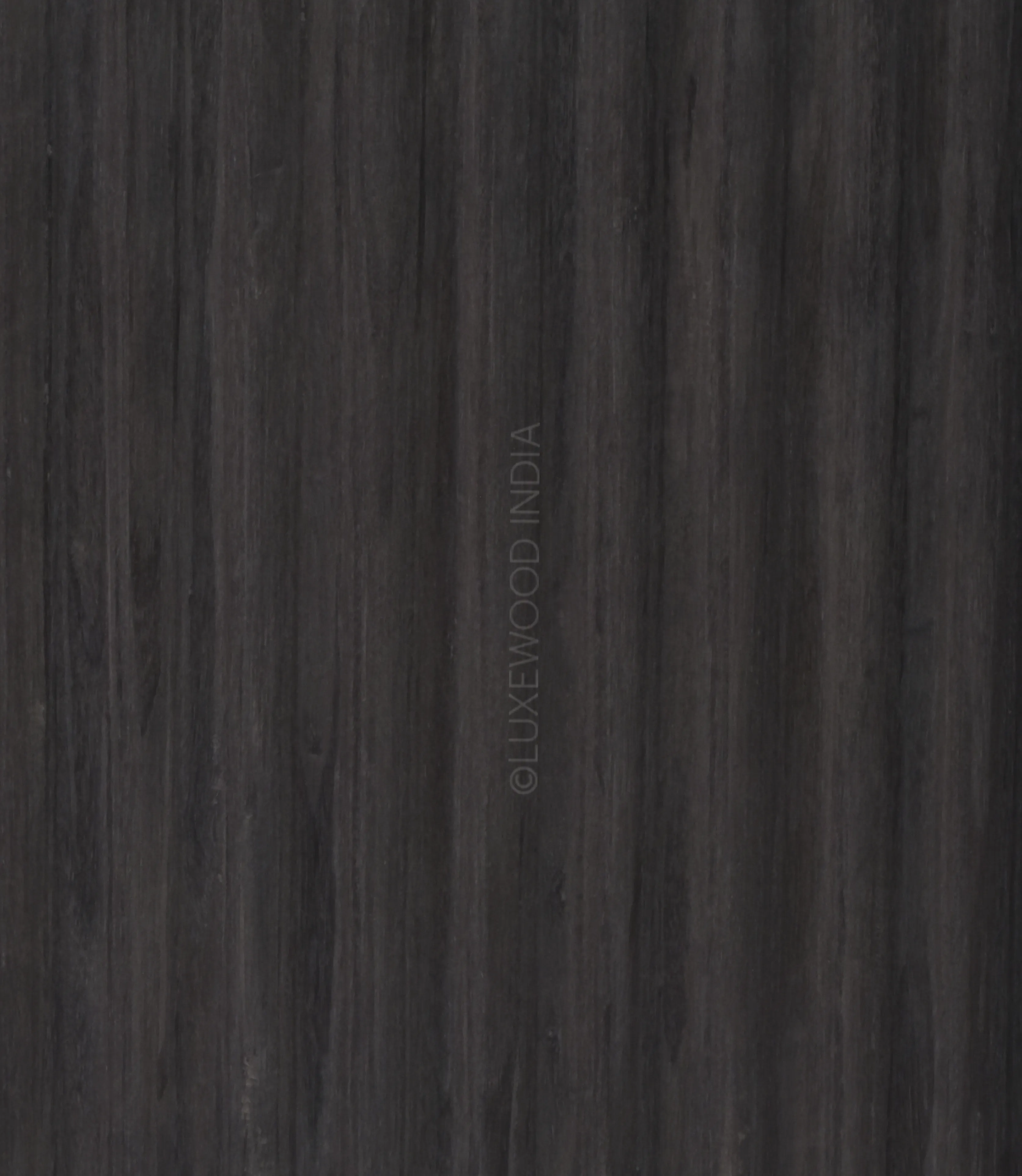 Close‑up of Grey Apricot Venizio panel showing wood texture and knots